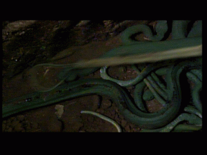 doc0316.gif